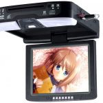 DVD/Navigation i Polen Stettin